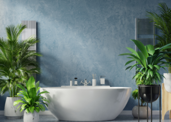 Planten in de badkamer: Hoe planten je badkamer verfrissend en gezond maken