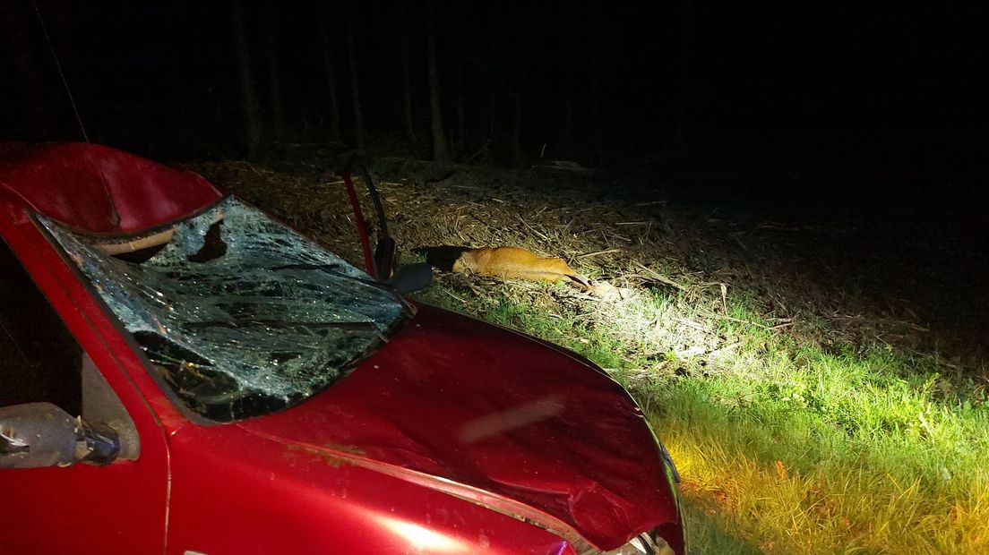 Automobilist raakt hert en auto total loss in Nunspeet