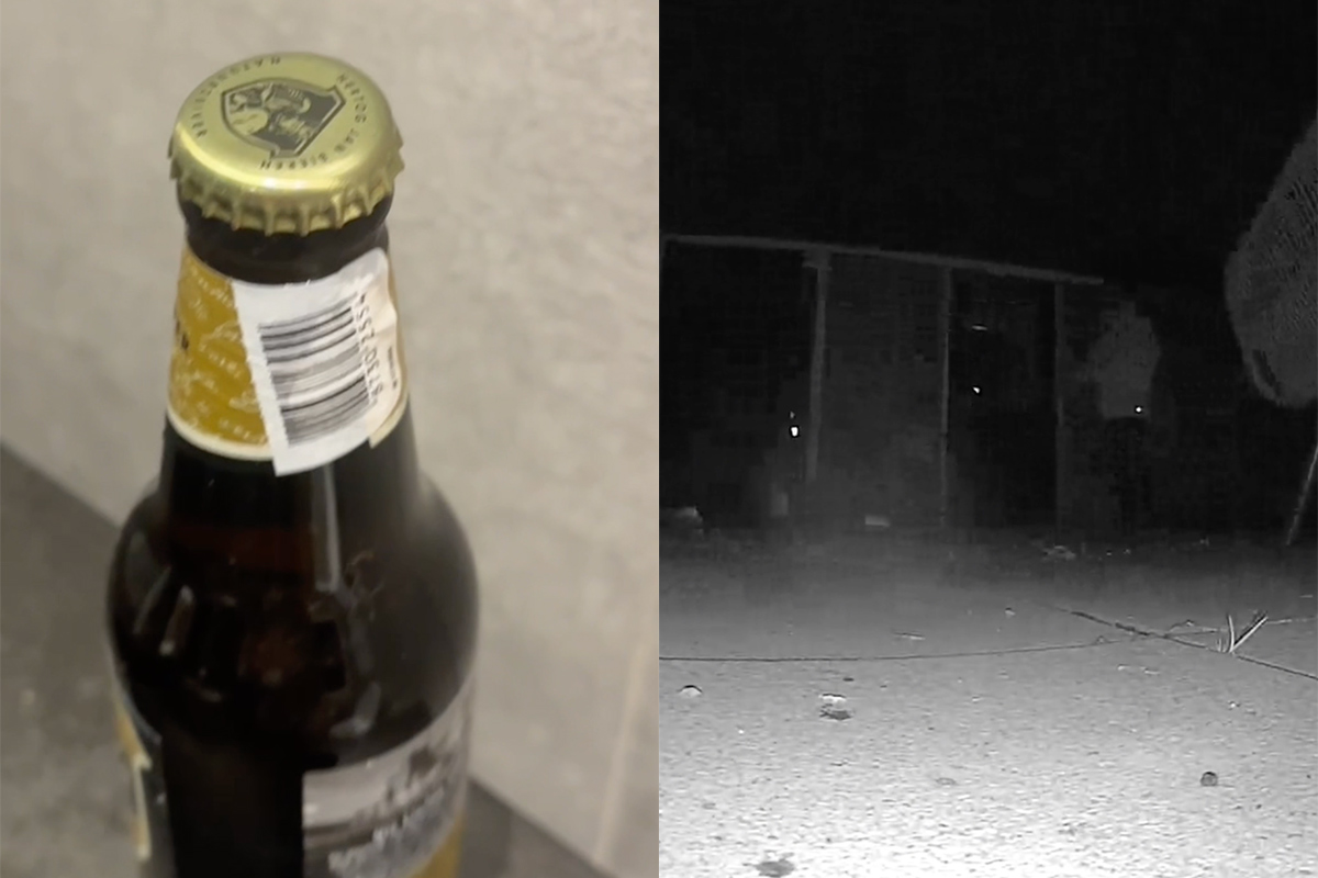 Bierdief krijgt koekje van eigen deeg: onverwachtse verrassing in de koelkast