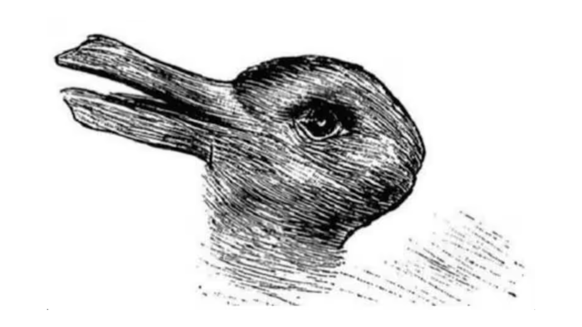 Wat zie jij in deze tekening? Dit zegt het antwoord over je!