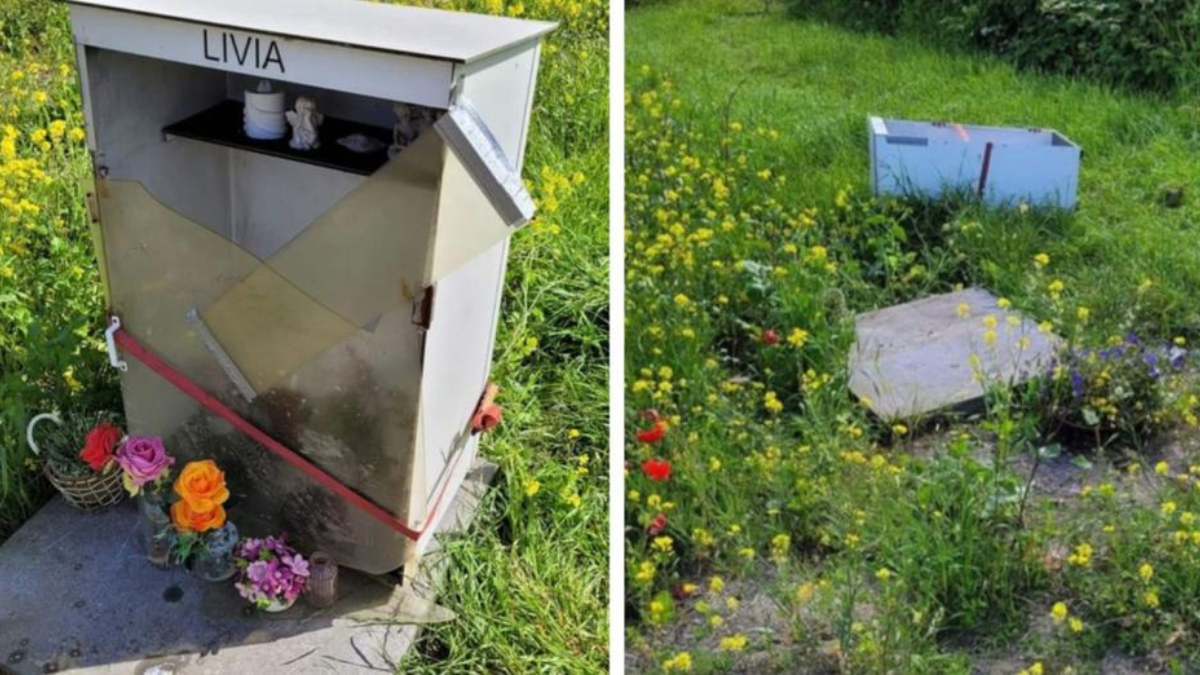 Verwoesting van monument voor gepeste Livia schokt familie: ‘Waarom als ze er al niet eens meer is?’