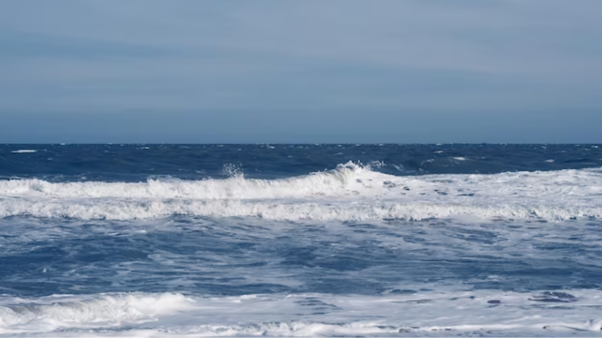 ‘Het gaat slecht met de oceaan, en daar merken wij op aarde nu de gevolgen van’