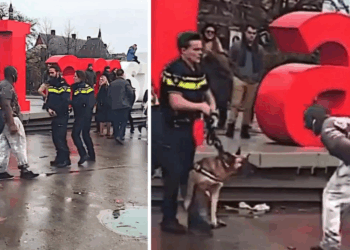 VIDEO: Man daagt politiehond uit en krijgt zijn verdiende loon