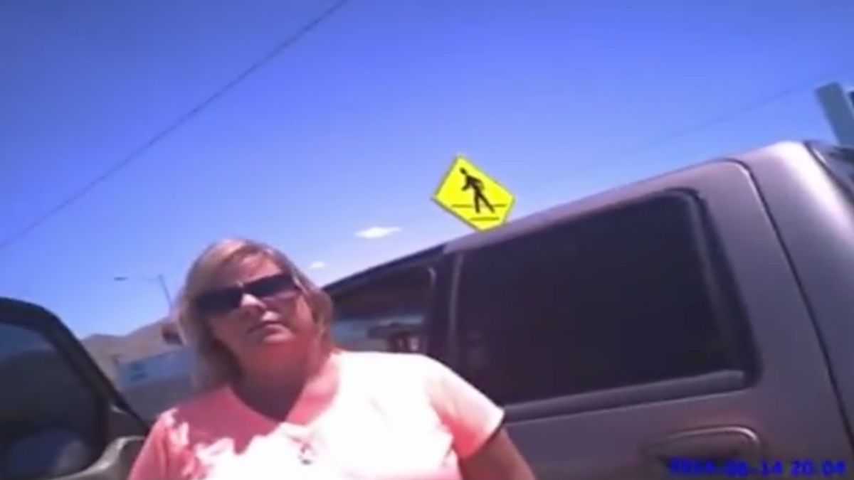 Politie komt in actie tegen dierenmishandeling: Vrouw ervaart hete auto na achterlaten hond