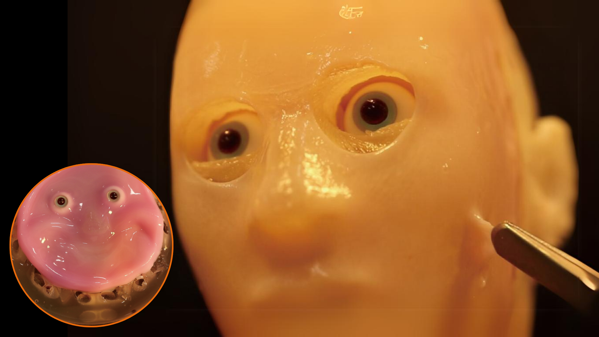 Wetenschappelijke doorbraak: Robots krijgen menselijke huid op gezicht