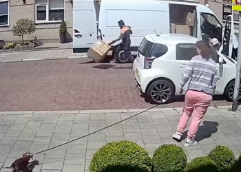 VIDEO: PostNL bezorger gooit met breekbaar pakket: “Hoop dat ie ontslagen wordt”
