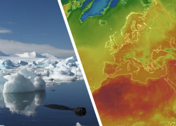 21 juli was wereldwijd de warmste dag ooit