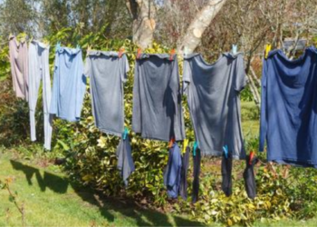 Vrouw belt politie om haar buurvrouw te arresteren omdat ze haar ondergoed in de tuin droogt