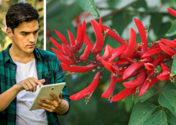 Honderden ‘racistische’ planten krijgen een nieuwe naam