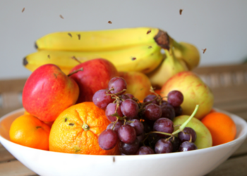 De beste tip: Zo kom je snel en eenvoudig van alle fruitvliegjes af!