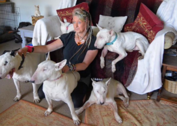 Liz: “Ik moest kiezen tussen mijn partner of mijn geliefde honden”