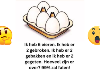 99% van de mensen kan dit raadsel niet oplossen! Hoeveel eieren blijven er over?