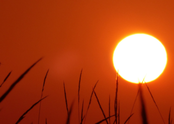 Zomer 2024 was warmer en zonniger dan normaal, maar kende geen hittegolf