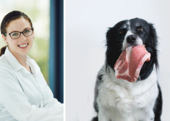 Expert Lotte zegt: “Je houdt niet echt van dieren als je nog steeds vlees eet”