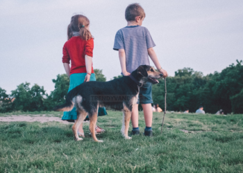 Bente: “Ga ik ze eerlijk vertellen waarom ik niet wil dat mijn zoontje bij hun komt?”