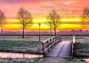 De zomer komt aan zijn einde: Vannacht gaat het waarschijnlijk vriezen