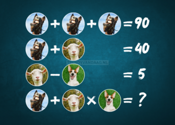 Een leuke hersenkraker! 95% van de mensen komt hier niet uit!