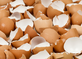 Gooi jouw eierschalen niet meer weg! Dit kan je er voortaan beter mee doen!