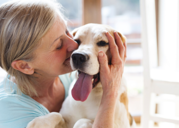 Marjan kreeg onverwachts een Tikkie: “De buurvrouw heeft een dag op onze hond gepast”