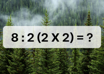 Wiskundig raadsel veroorzaakt veel ophef: “Hoe moet dit nou worden opgelost?”