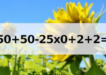 Er is maar één juist antwoord, maar bijna niemand heeft hem goed