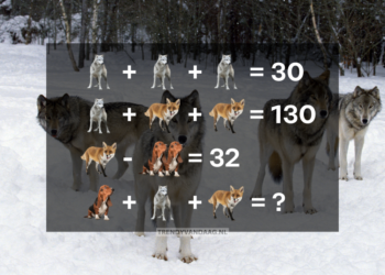 Er is veel ophef over deze som! Wat is nou het juiste antwoord?