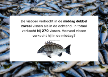 Hoeveel vissen verkocht deze visboer in de middag? 95% komt hier niet uit!