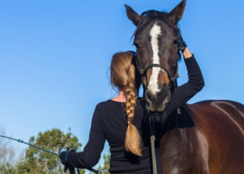 Isa moet kiezen tussen haar paard en haar vriend: “Hij heeft mij een ultimatum gesteld”