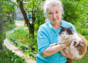 Kattenvrouw Michelle (68): “Ik woon liever met mijn katten, dan met een man”