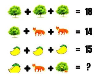 Het internet gaat los om dit raadsel! Bijna niemand weet het juiste antwoord te ontrafelen!