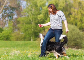 Rebecca (42) betaalde 6.000 euro aan de dierenarts in één jaar: “Waarom zo duur?”