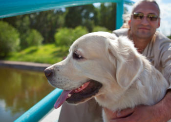 Gert (47): “Waarom hondenbelasting betalen als ik zelf de poep moet opruimen en mijn hond nergens mag komen?”