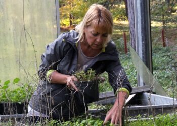 Manon (57): “Ik word gek van alle katten in mijn tuin, maar mijn buren doen er niets aan”