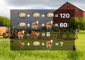Wat is het antwoord van dit raadsel? Kom jij er wel uit?