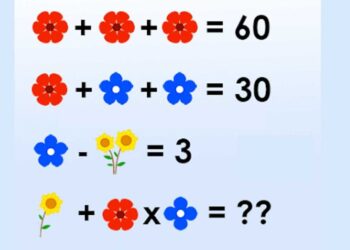 Het internet gaat los over de bloemensom! Weet jij het juiste antwoord?