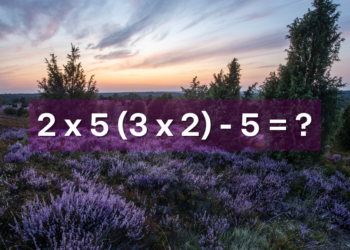 De oplossing is soms net even anders dan verwacht: “Dit raadsel schudt iedereen wakker”