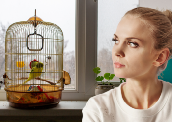 Eline (34): “Het moet verboden worden om vogels als huisdier te hebben, het is gewoon zielig”