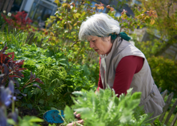 Erica (65): “Ik heb ruzie met de hele buurt omdat ik niet wil dat hun katten in mijn tuin komen”