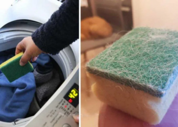 Geen haren van jouw huisdieren meer op je kleding met deze wastip!