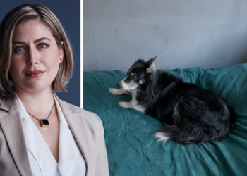 Kim (39): “Waarom hebben de arme mensen bij Steenrijk-Straatarm altijd veel huisdieren?”