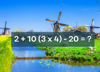 Stel je hersenen op de proef met dit raadsel: De juiste volgorde is alles wat belangrijk is