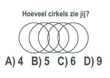 De meeste mensen zitten er naast: Hoeveel cirkels zie jij hier?