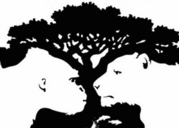 Wat zie jij als eerste in dit plaatje? Dit zegt veel over jouw persoonlijkheid