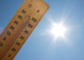 2024 is officieel het warmste jaar ooit: “Gelukkig investeren we steeds meer in groene energie”