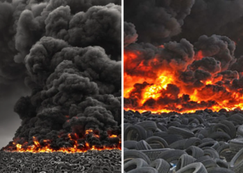 Hier maken ze zich druk om de uitstoot van koeien, terwijl in Koeweit 7 miljoen rubberen banden worden verbrand