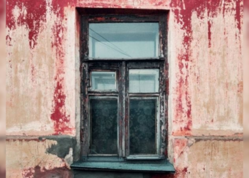 Kat zit verstopt in de foto: Bijna niemand kan hem vinden