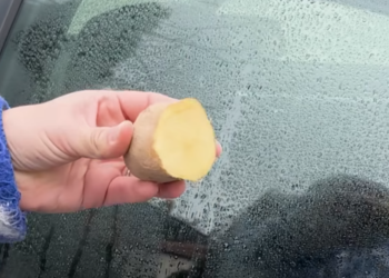 Met deze simpele truc heb je nooit meer last van de druppels op de zijramen van je auto