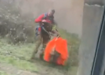 NET BINNEN: Parachutist landt per ongeluk in apenverblijf Ouwehands Dierenpark