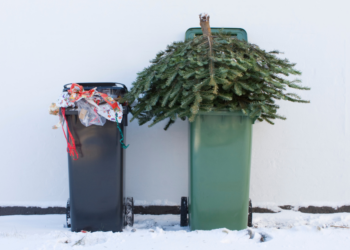De stad Gent is wel heel milieuvriendelijk: “Gooi je kerstboom niet op straat, eet hem op”