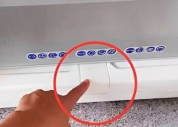 Dit kleine verborgen onderdeel zit in bijna elke koelkast, maar weet jij waar het voor dient?